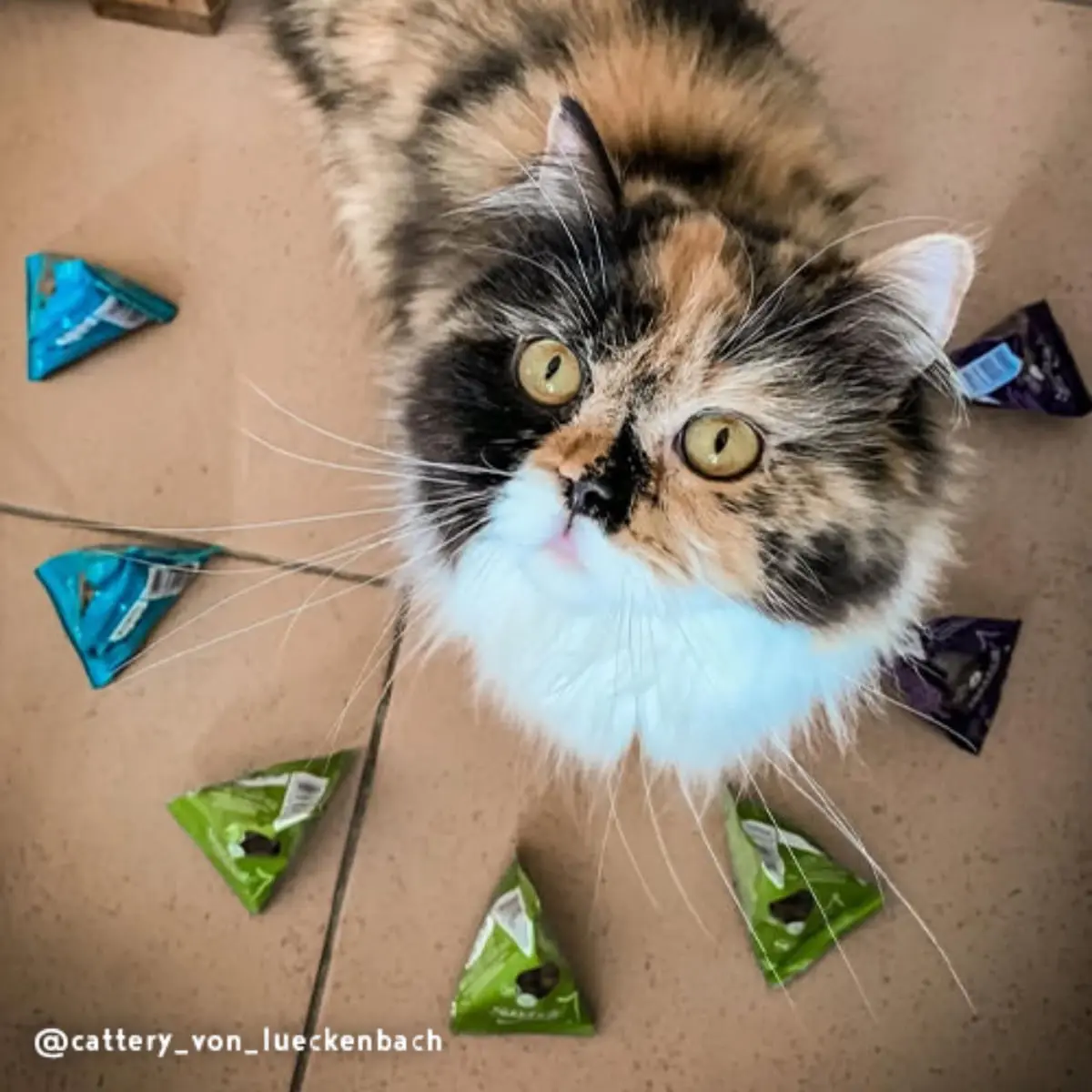 SANABELLE Thanks-Snack, Pasare, recompense pisici, 20g - Image 4