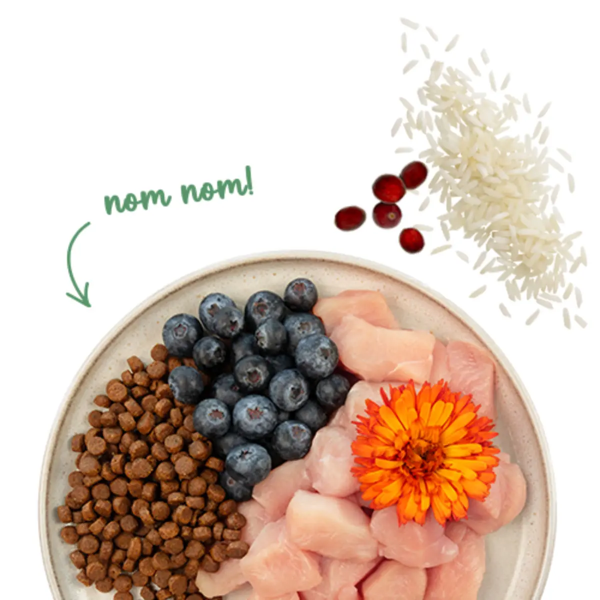 SANABELLE Sensitive, Pui si Afine, hrana uscata pisici, sistem digestiv, 400g - Image 5