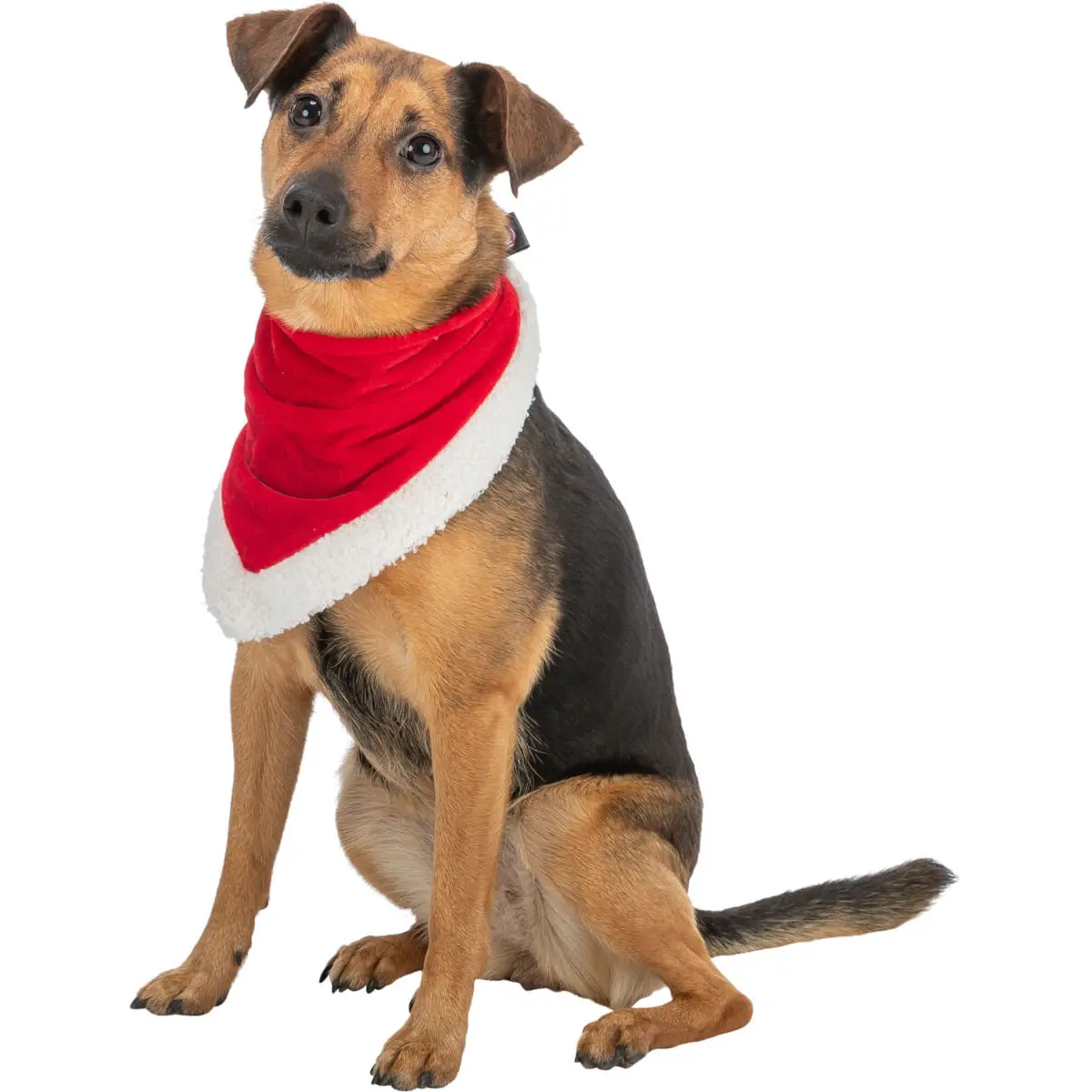 TRIXIE Christmas Velvet look, esarfa caini, plus, rosu, M(75cm) - Image 3