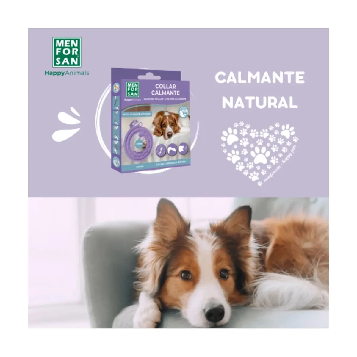 MENFORSAN Zgarda Calmanta 57cm, supliment sistem nervos & calmante caini, zgarda MENFORSAN Zgarda Calmanta 57cm, XS-L, supliment sistem nervos & calmante caini, cutie, 1buc zgarda - Image 6