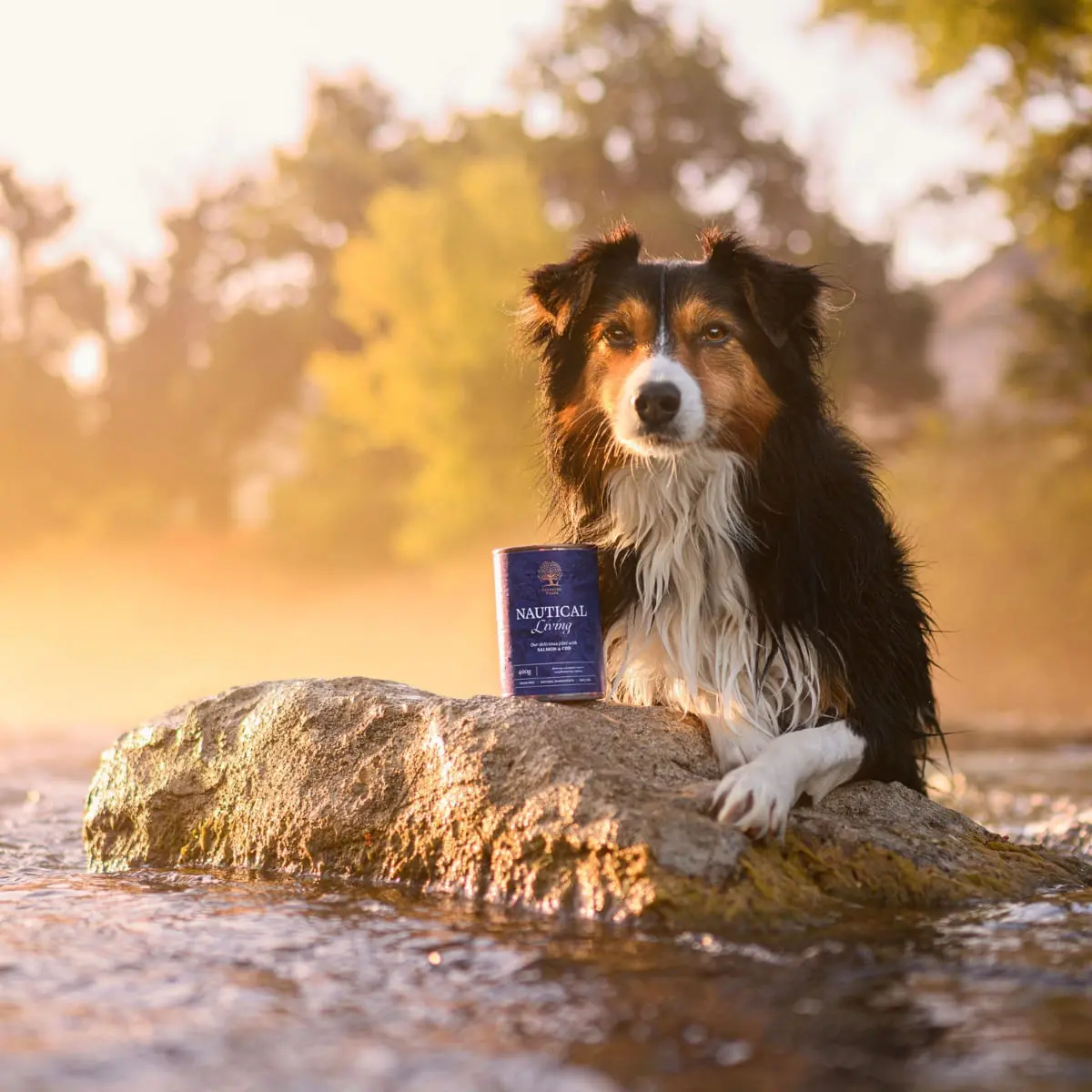 ESSENTIAL Nautical Living, XS-XL, Somon si Cod, conserva hrana umeda fara cereale caini, (pate), 400g - Image 3