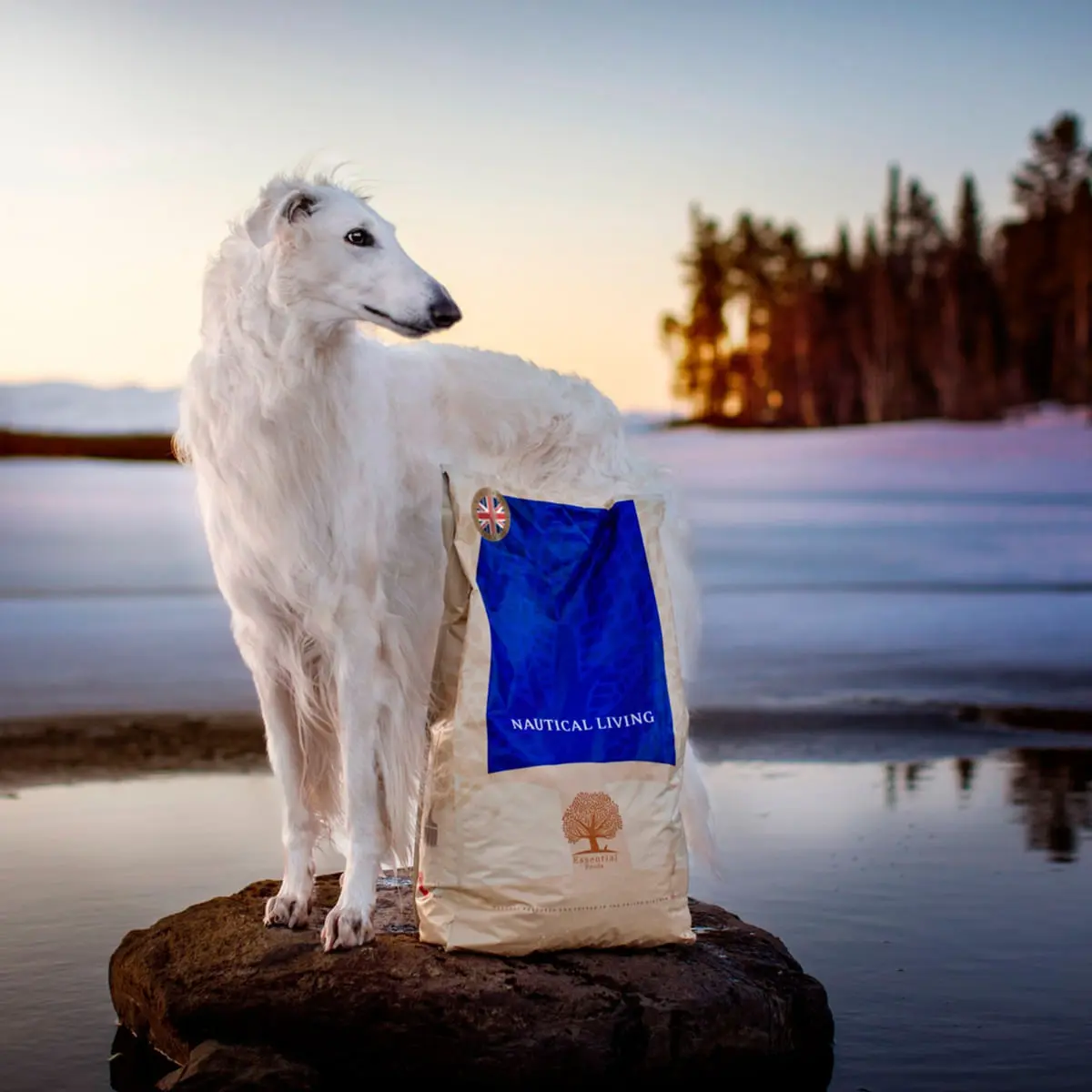 ESSENTIAL Nautical Living, Somon si Pastrav, hrana uscata fara cereale caini ESSENTIAL Nautical Living, M-XL, Somon si Pastrav, hrana uscata fara cereale caini, 10kg - Image 3