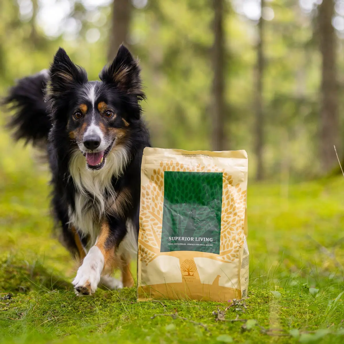 ESSENTIAL Superior Living, Pui si Rata, hrana uscata fara cereale caini ESSENTIAL Superior Living, XS-S, Pui si Rata, hrana uscata fara cereale caini, 2.5kg - Image 3