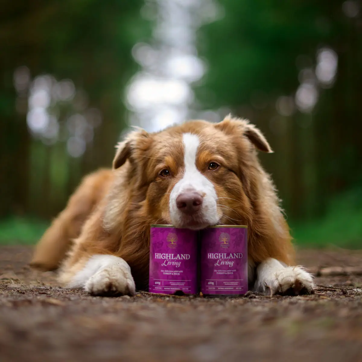 ESSENTIAL Highland Living, XS-XL, Curcan si Rata, conserva hrana umeda fara cereale caini, (pate), 400g - Image 3