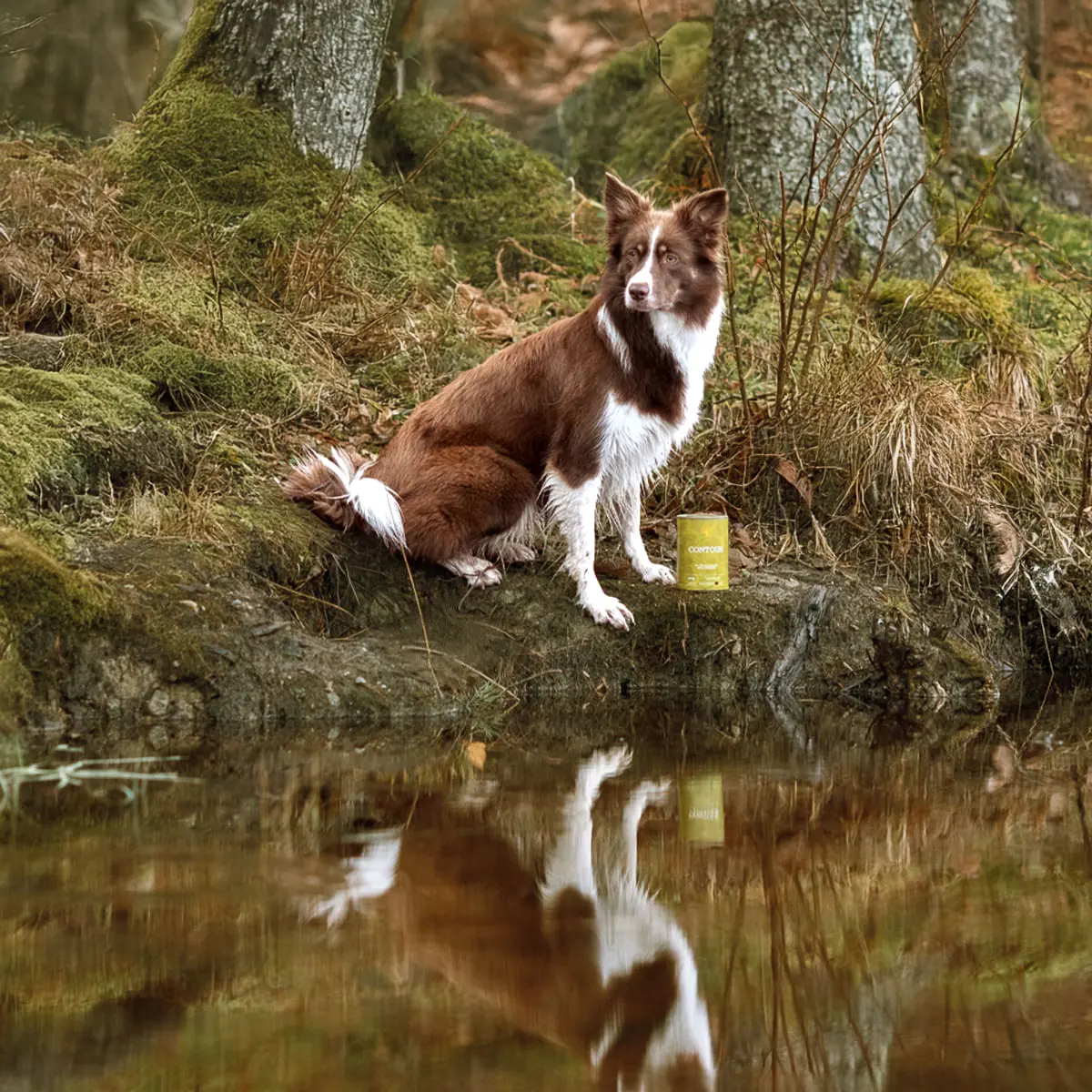 ESSENTIAL Contour, XS-XL, Rata si Pui, conserva hrana umeda fara cereale caini senior, obezitate, (pate), 400g - Image 3