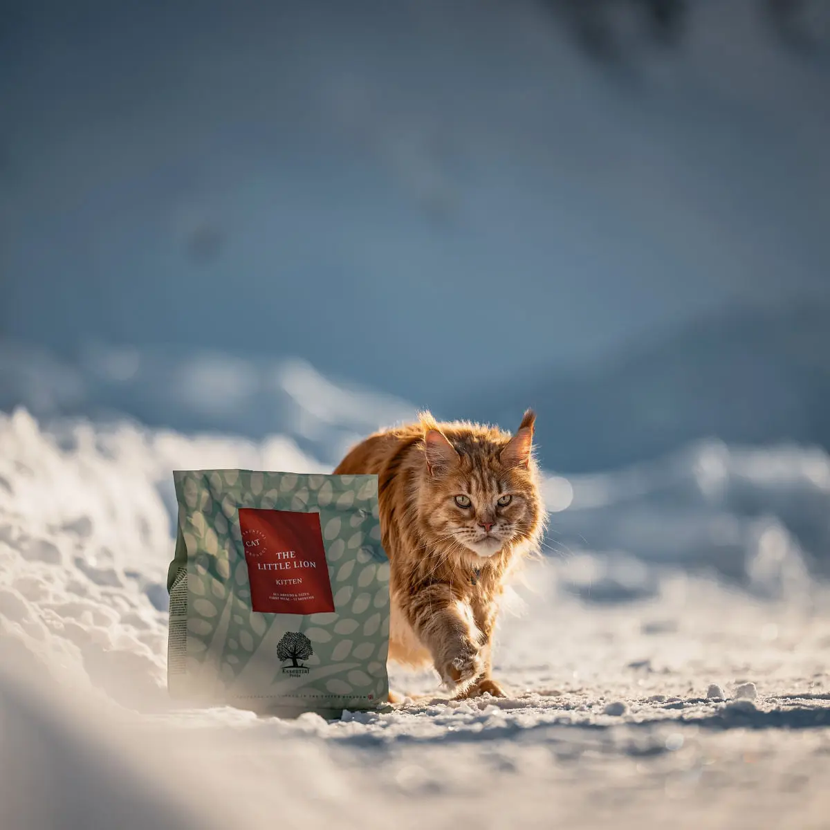 ESSENTIAL Little Lion, Pui si Rata, hrana uscata fara cereale pisici junior, 3kg - Image 3