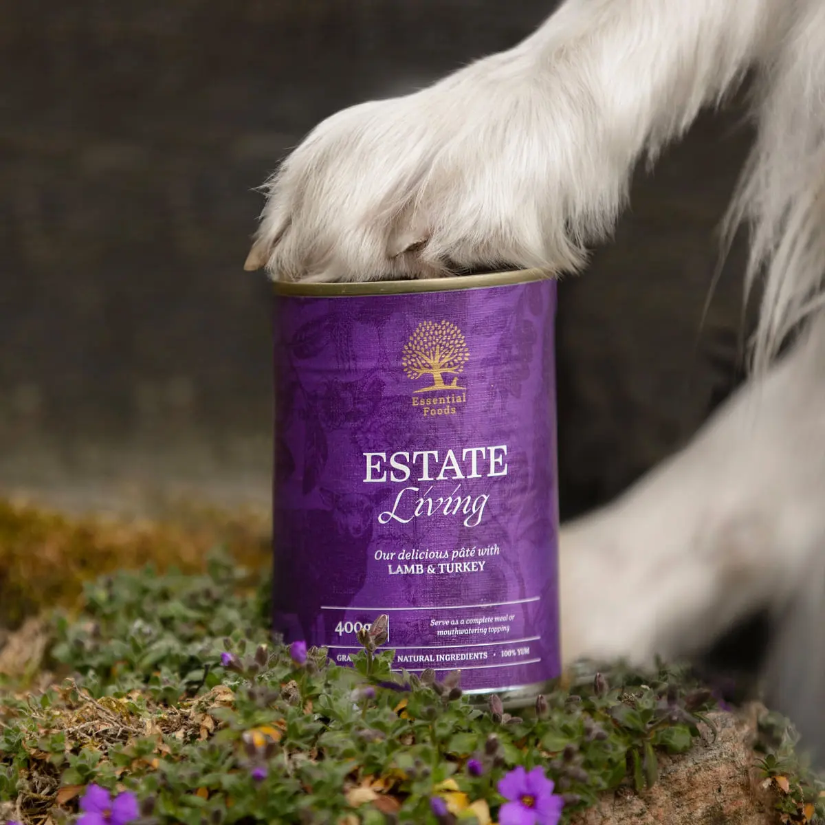 ESSENTIAL Estate Living, XS-XL, Miel si Curcan, conserva hrana umeda fara cereale caini, (pate), 400g - Image 3