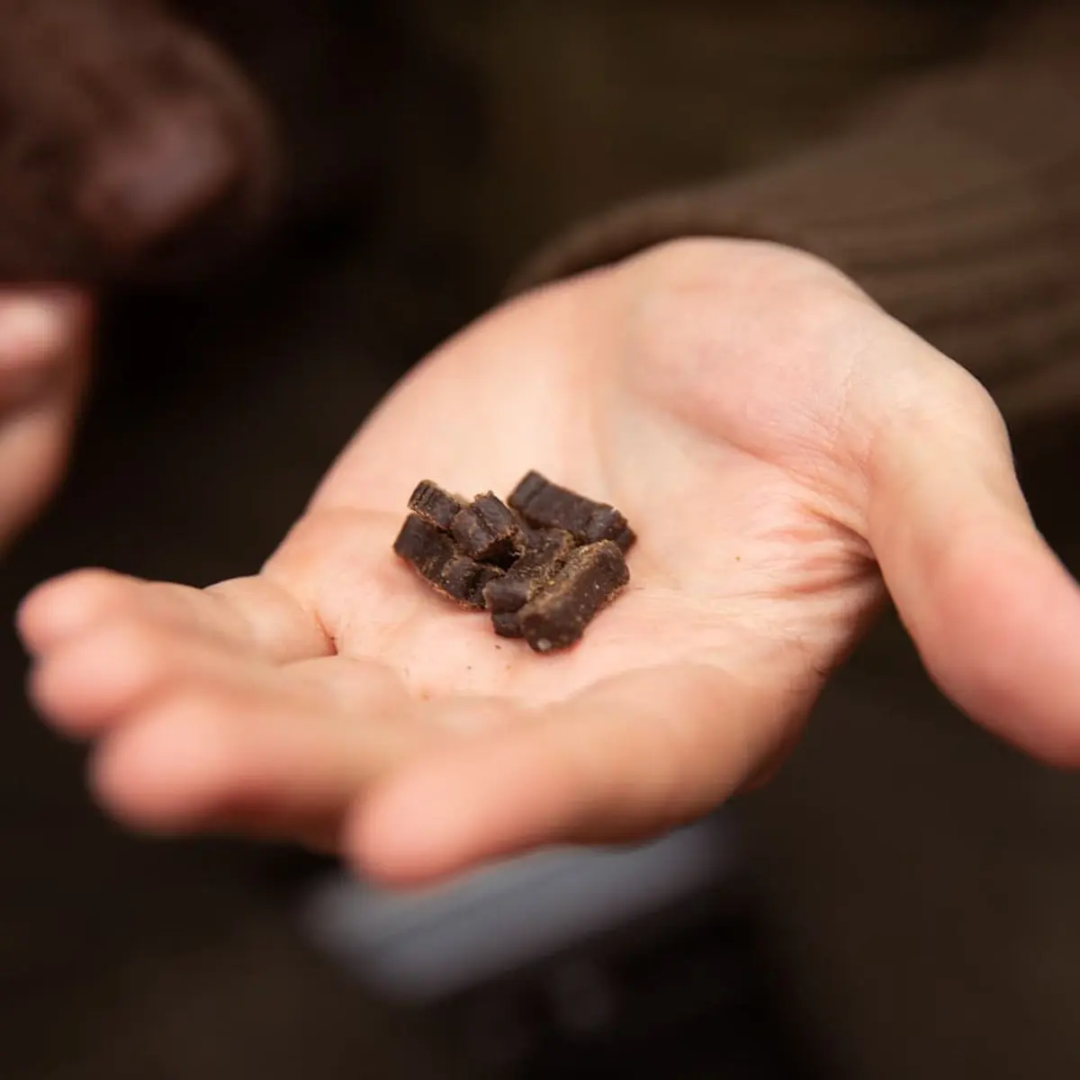 ESSENTIAL Mini Delights, XS-S, Miel, punguta recompense fara cereale caini, 100g - Image 4