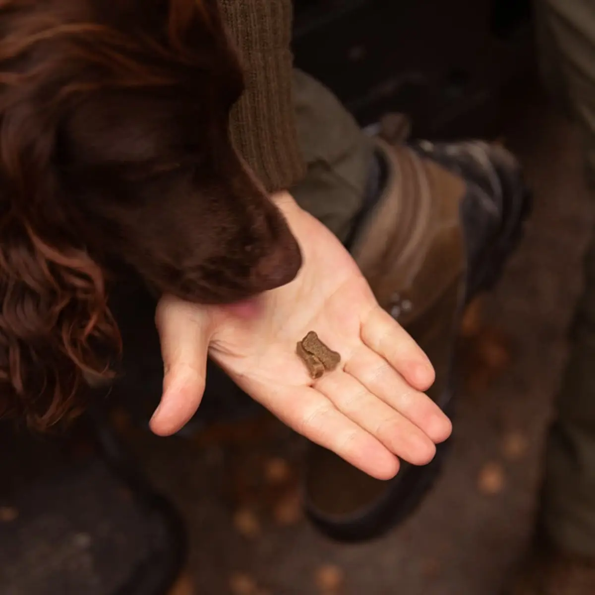 ESSENTIAL Mini Delights, XS-S, Somon, punguta recompense fara cereale caini, 100g - Image 4