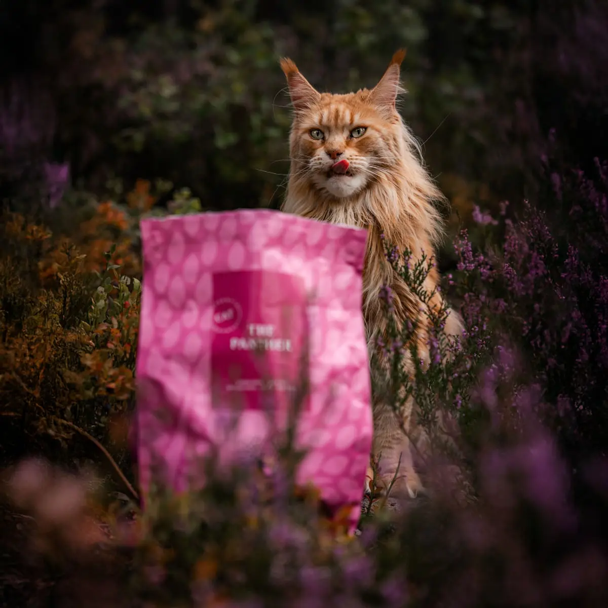 ESSENTIAL Panther, Somon si Peste alb, hrana uscata fara cereale pisici sterilizate senior, 1.5kg - Image 3