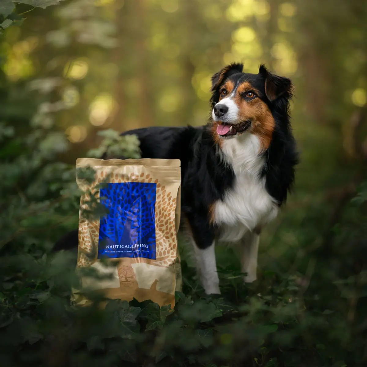 ESSENTIAL Nautical Living, Somon si Pastrav, hrana uscata fara cereale caini ESSENTIAL Nautical Living, XS-S, Somon si Pastrav, hrana uscata fara cereale caini, 2.5kg - Image 3