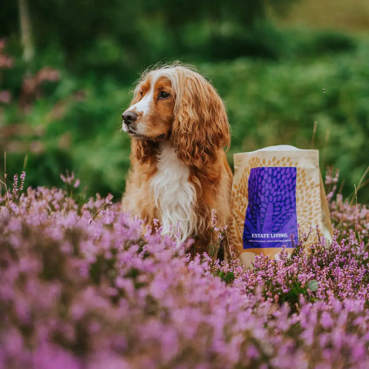 ESSENTIAL Estate Living, Miel si Vanat, hrana uscata fara cereale caini ESSENTIAL Estate Living, XS-S, Miel si Vanat, hrana uscata fara cereale caini, 2.5kg - Image 3