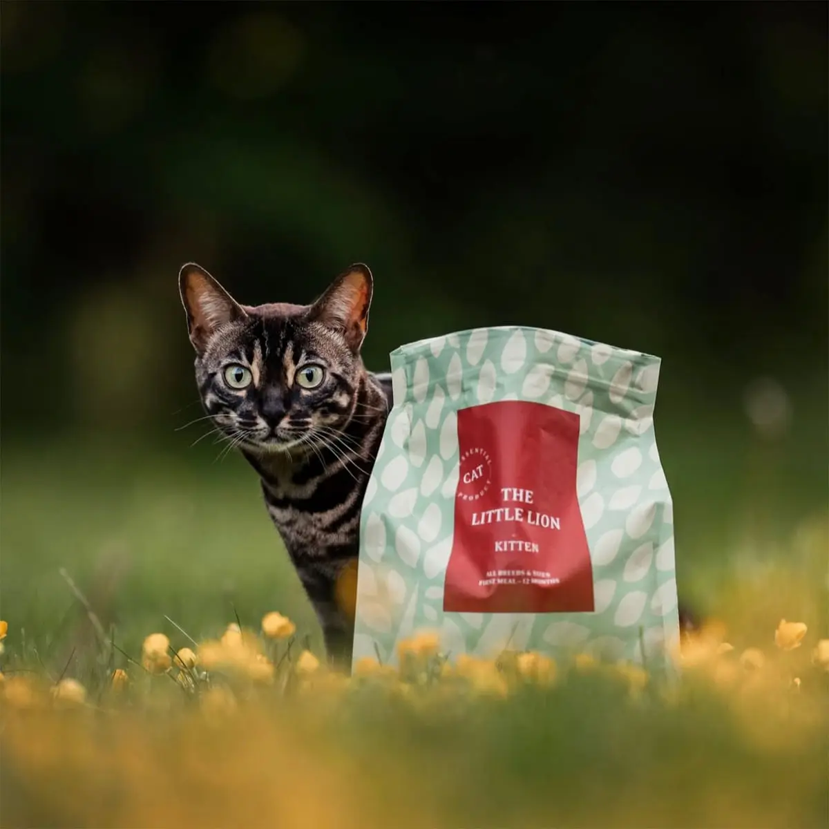 ESSENTIAL Little Lion, Pui si Rata, hrana uscata fara cereale pisici junior, 1.5kg - Image 3