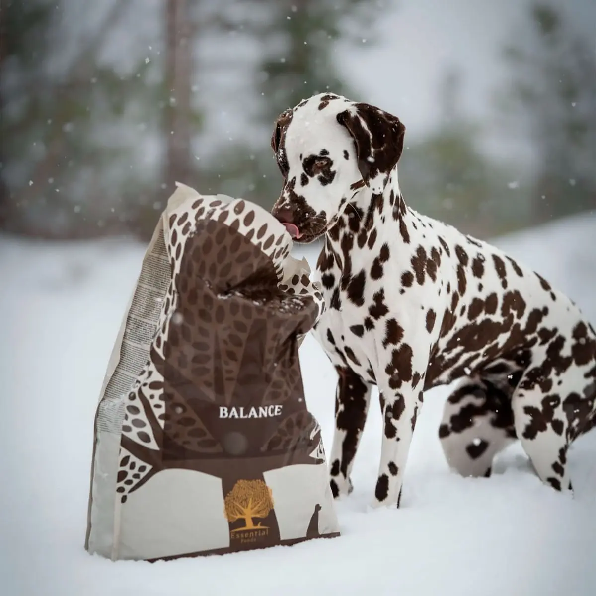 ESSENTIAL Balance, Curcan si Orez, hrana uscata monoproteica caini, sistem digestiv ESSENTIAL Balance, M-XL, Curcan si Orez, hrana uscata monoproteica caini, sistem digestiv, 10kg - Image 3