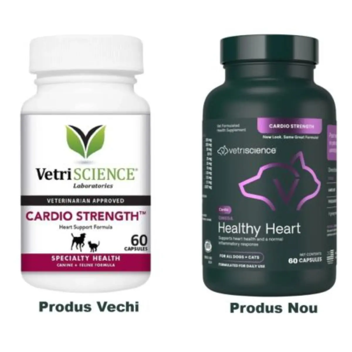 VETRISCIENCE Omega Healthy Heart, supliment sistem cardio-vascular caini, capsule VETRISCIENCE Omega Healthy Heart, XS-XL, supliment sistem cardio-vascular caini, flacon, 60 capsule - Image 2