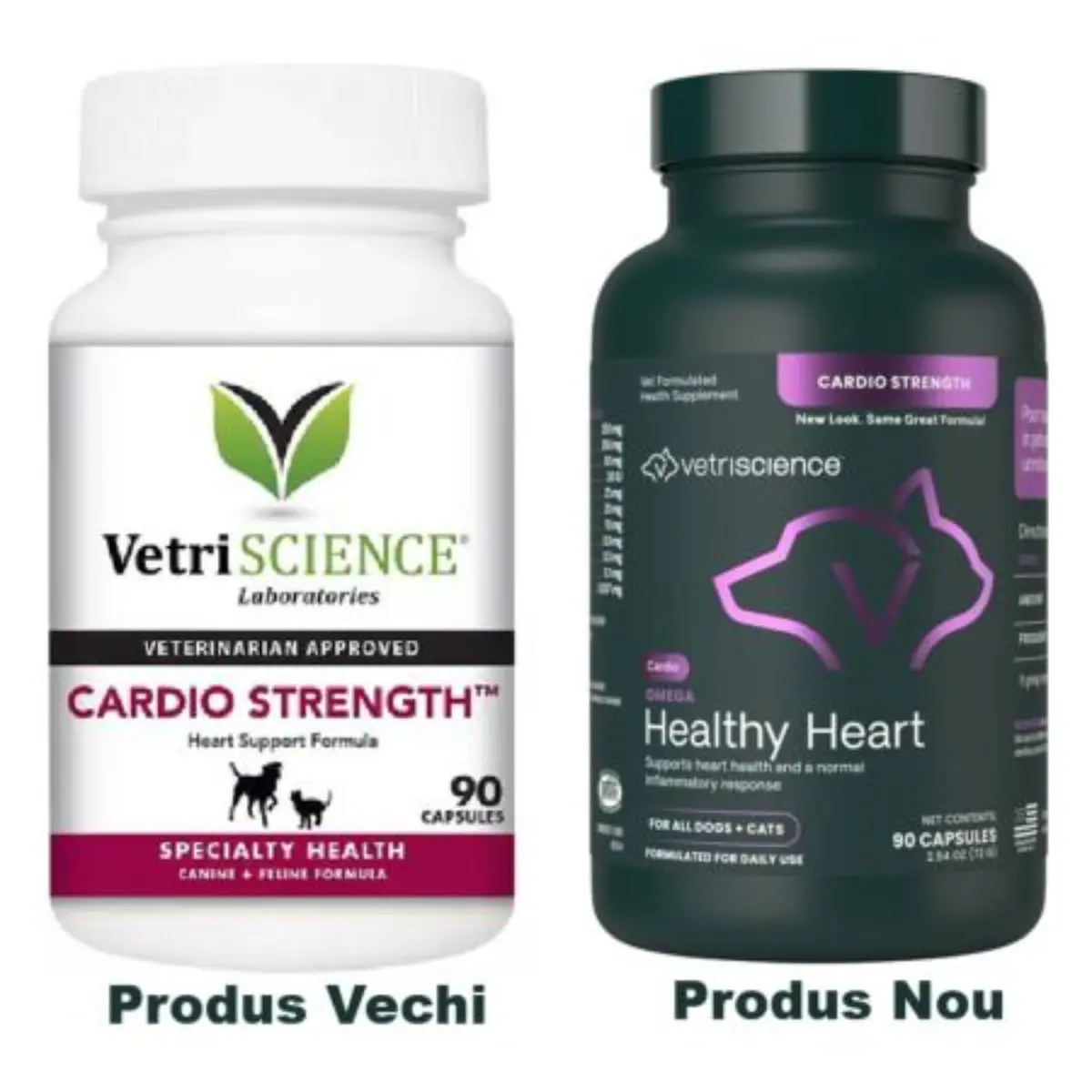 VETRISCIENCE Omega Healthy Heart, supliment sistem cardio-vascular caini, capsule VETRISCIENCE Omega Healthy Heart, XS-XL, supliment sistem cardio-vascular caini, flacon, 90 capsule