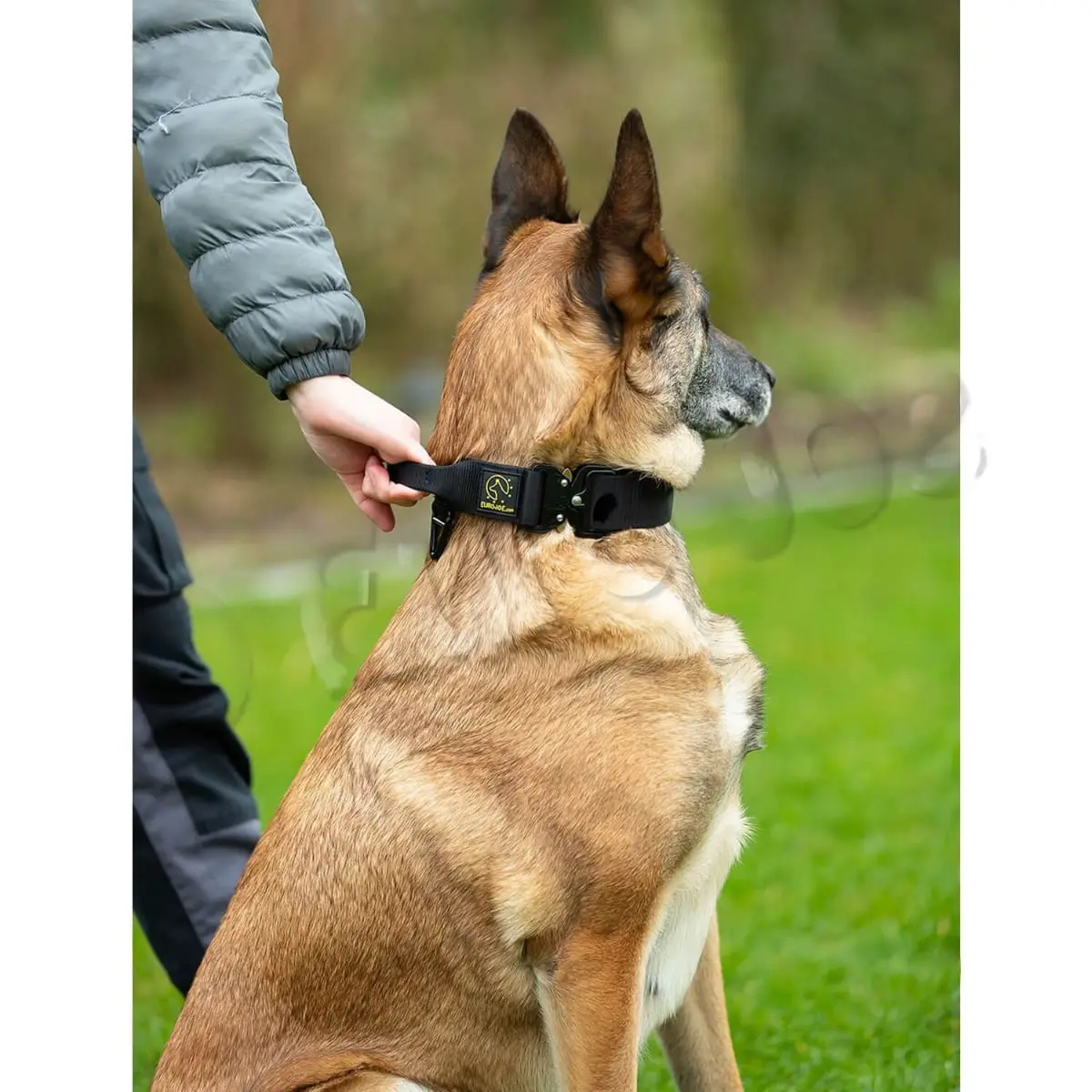 EURO JOE Tactical TC2+, zgarda caini, maner control, nylon, negru, catarama Cobra, XL(25-53 x 3.8cm) - Image 3