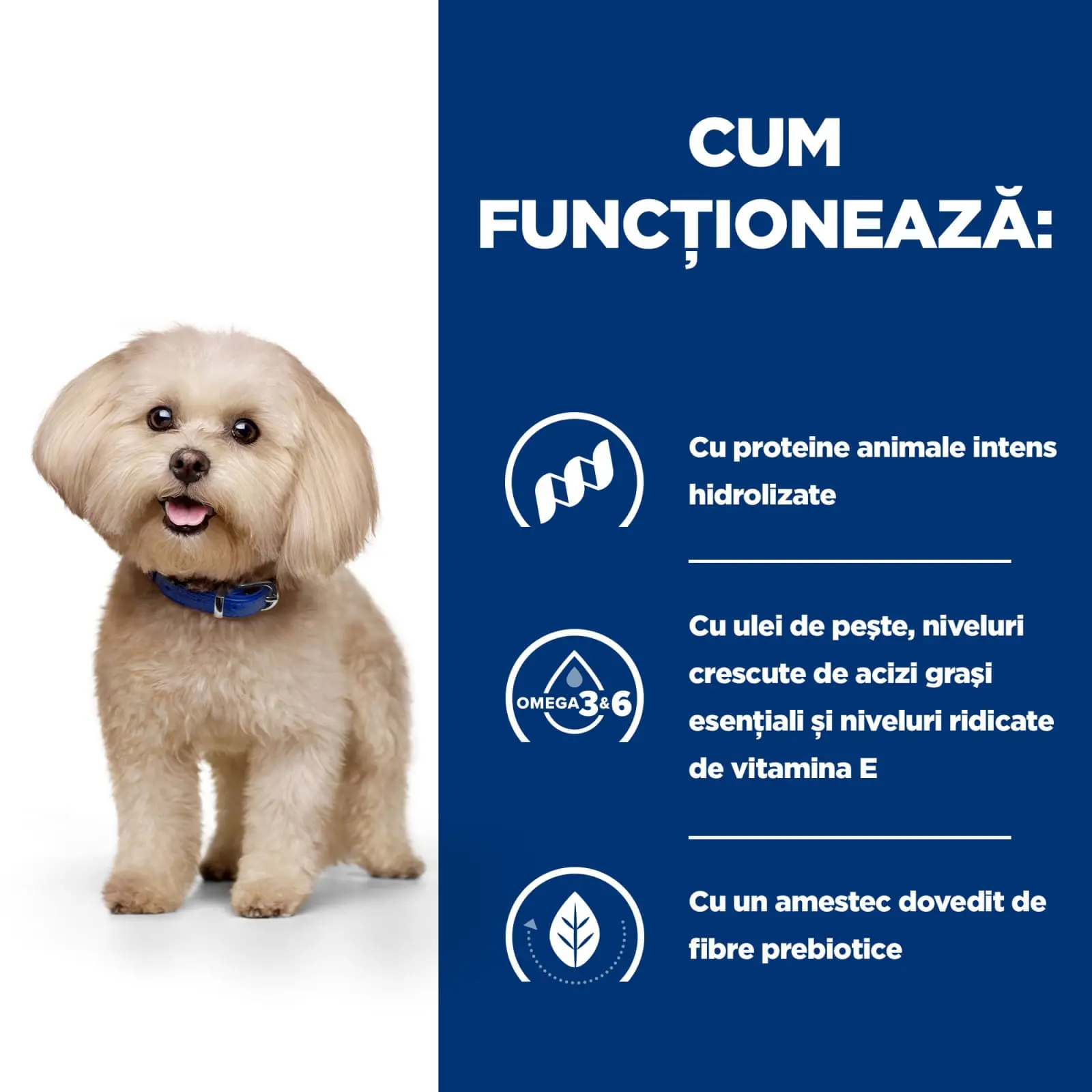 HILL'S Prescription Diet z/d Food Sensitivities Mini, dieta veterinara caini, hrana uscata, afectiuni dermatologice si digestive HILL'S Prescription Diet z/d Food Sensitivities Mini, dieta veterinara caini, hrana uscata, piele & blana, sistem digestiv, 1 - Image 4
