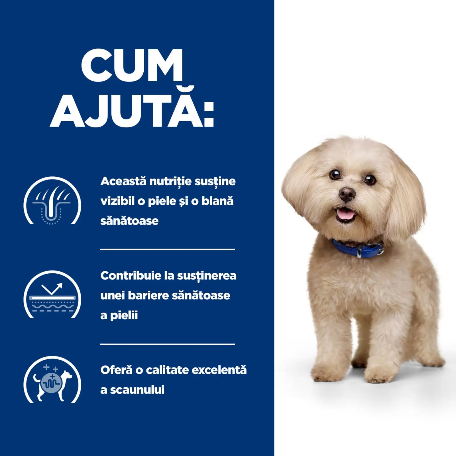 HILL'S Prescription Diet z/d Food Sensitivities Mini, dieta veterinara caini, hrana uscata, afectiuni dermatologice si digestive HILL'S Prescription Diet z/d Food Sensitivities Mini, dieta veterinara caini, hrana uscata, piele & blana, sistem digestiv, 6 - Image 5