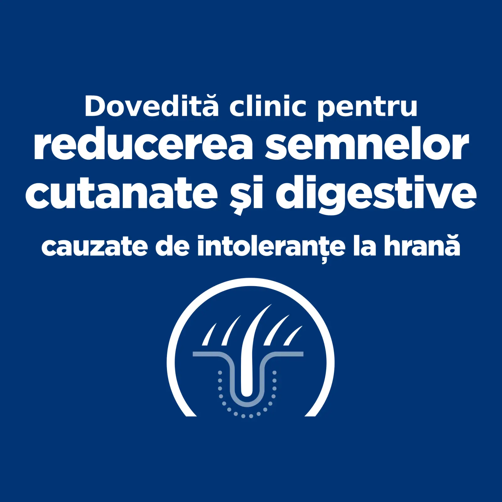 HILL'S Prescription Diet z/d Food Sensitivities Mini, dieta veterinara caini, hrana uscata, afectiuni dermatologice si digestive HILL'S Prescription Diet z/d Food Sensitivities Mini, dieta veterinara caini, hrana uscata, piele & blana, sistem digestiv, 6 - Image 9