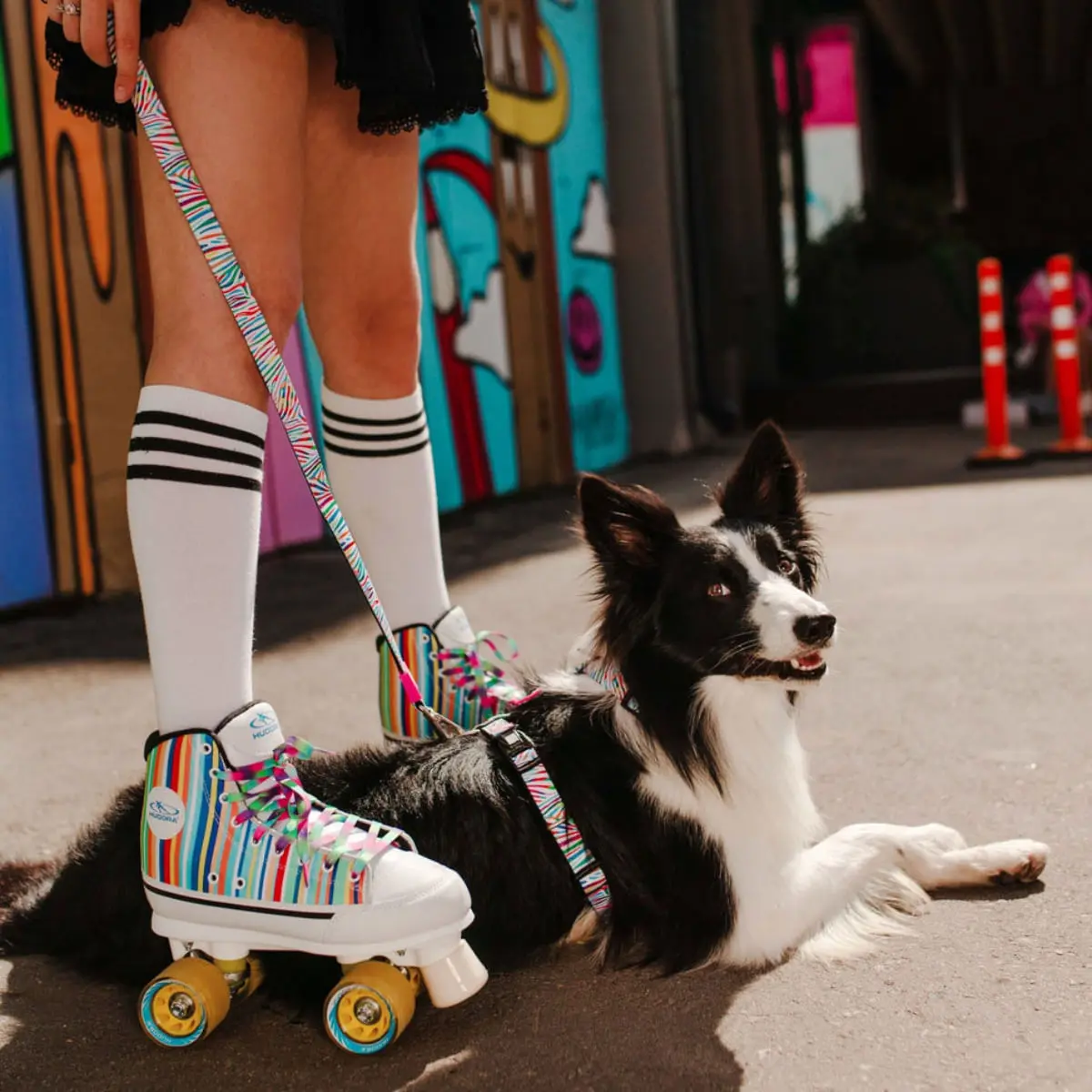 MAX & MOLLY Smart ID Magic Zebra, zgarda caini, ajustabila, poliester, alb, catarama trident, M(34-55  x 2cm) - Image 6