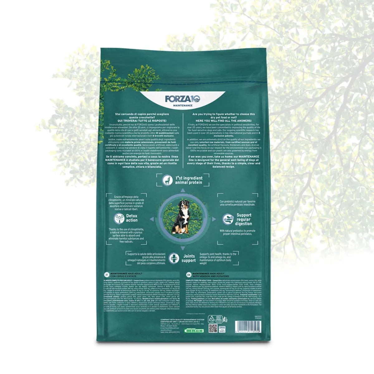 FORZA10 Maintenance Maxi Adult, L-XL, Caprioara, hrana uscata caini, 12kg - Image 3