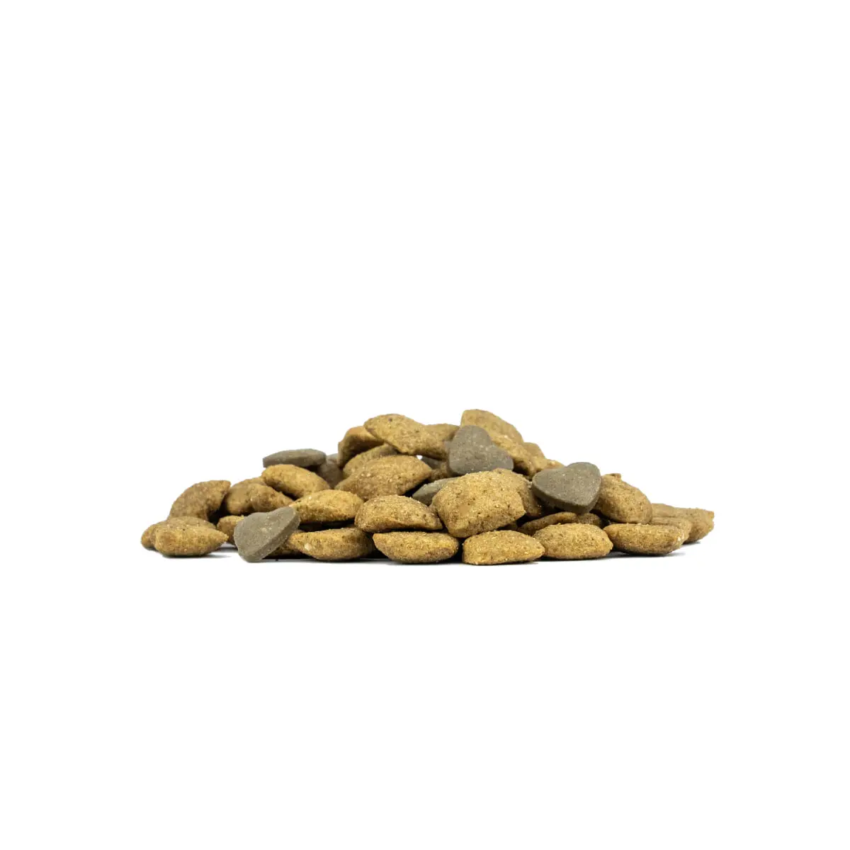 FORZA10 Active VetDiet Dermato, XS-XL, Peste, dieta veterinara, hrana uscata monoproteica caini, piele & blana, 10kg - Image 5