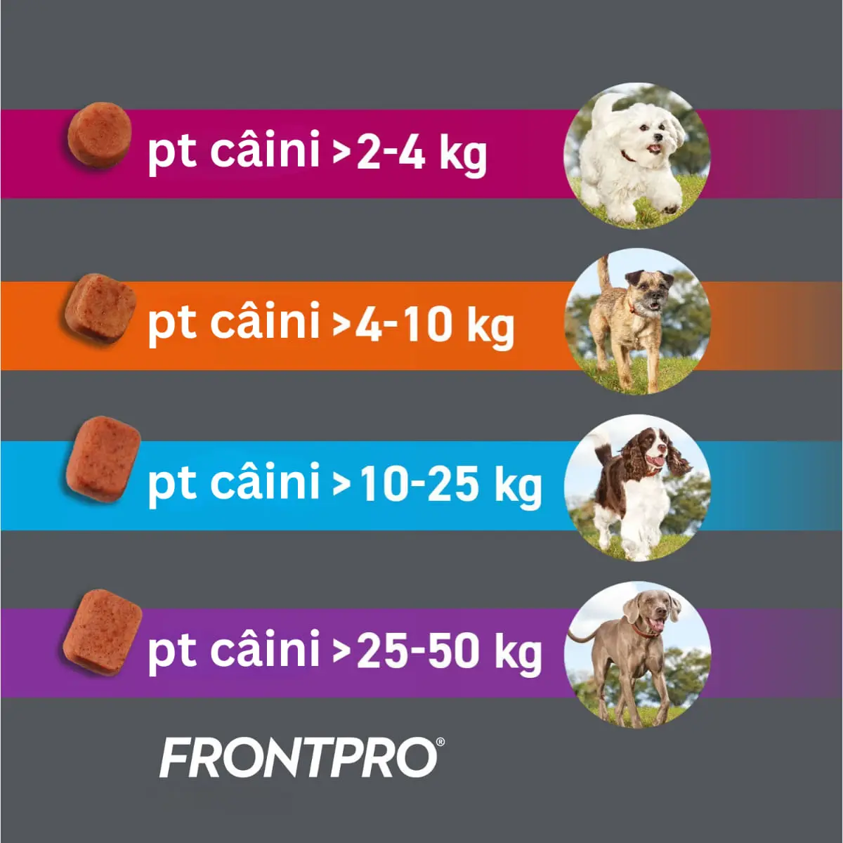 FRONTPRO, deparazitare externa caini, comprimate masticabile FRONTPRO, deparazitare externa caini, XL(25 - 50kg), comprimate masticabile, 136mg x 3buc - Image 3