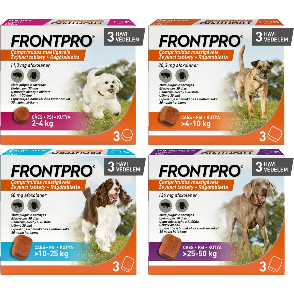 FRONTPRO, deparazitare externa caini, comprimate masticabile FRONTPRO, deparazitare externa caini, M(4 - 10kg), comprimate masticabile, 28mg x 3buc - Image 4