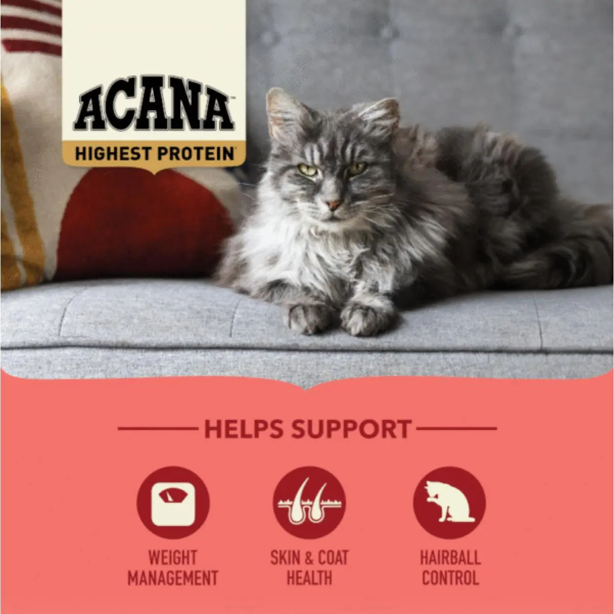 ACANA High Protein Indoor, Pui si Somon, hrana uscata fara cereale pisici, 4.5kg - Image 3