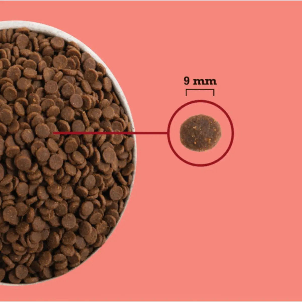 ACANA High Protein Indoor, Pui si Somon, hrana uscata fara cereale pisici, 4.5kg - Image 4