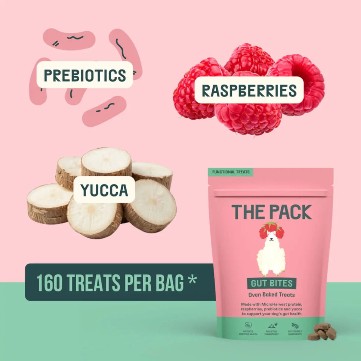 THE PACK Gut Bites, XS-XL, Fructe, punguta recompense caini, sistem digestiv, 100g - Image 3
