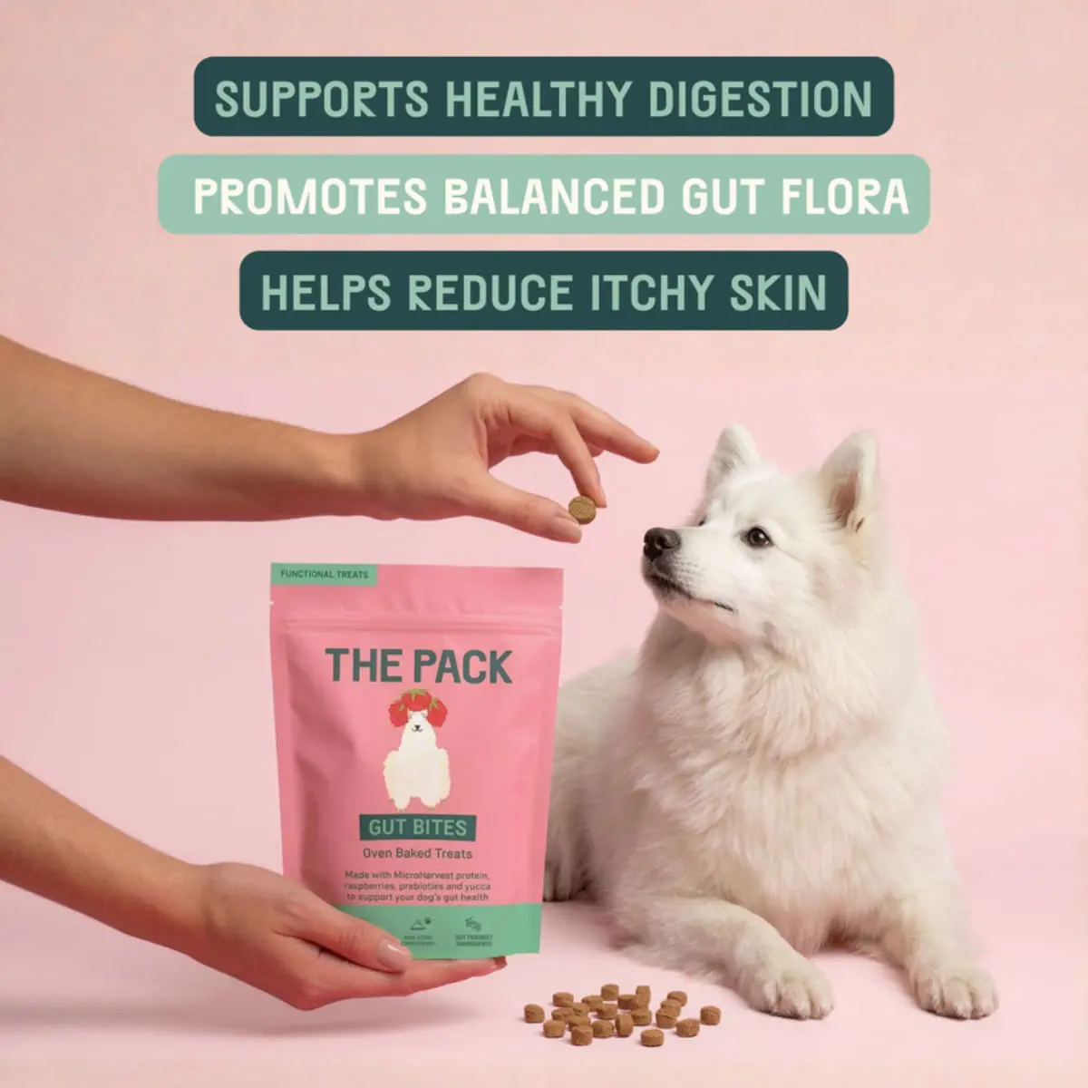 THE PACK Gut Bites, XS-XL, Fructe, punguta recompense caini, sistem digestiv, 100g - Image 4