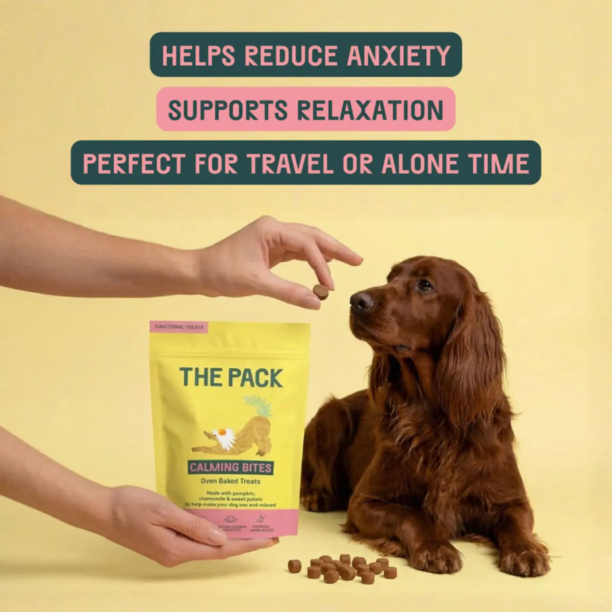 THE PACK Calming Bites, XS-XL, Fructe, punguta recompense functionale caini, sistem nervos & calmante, 100g - Image 4