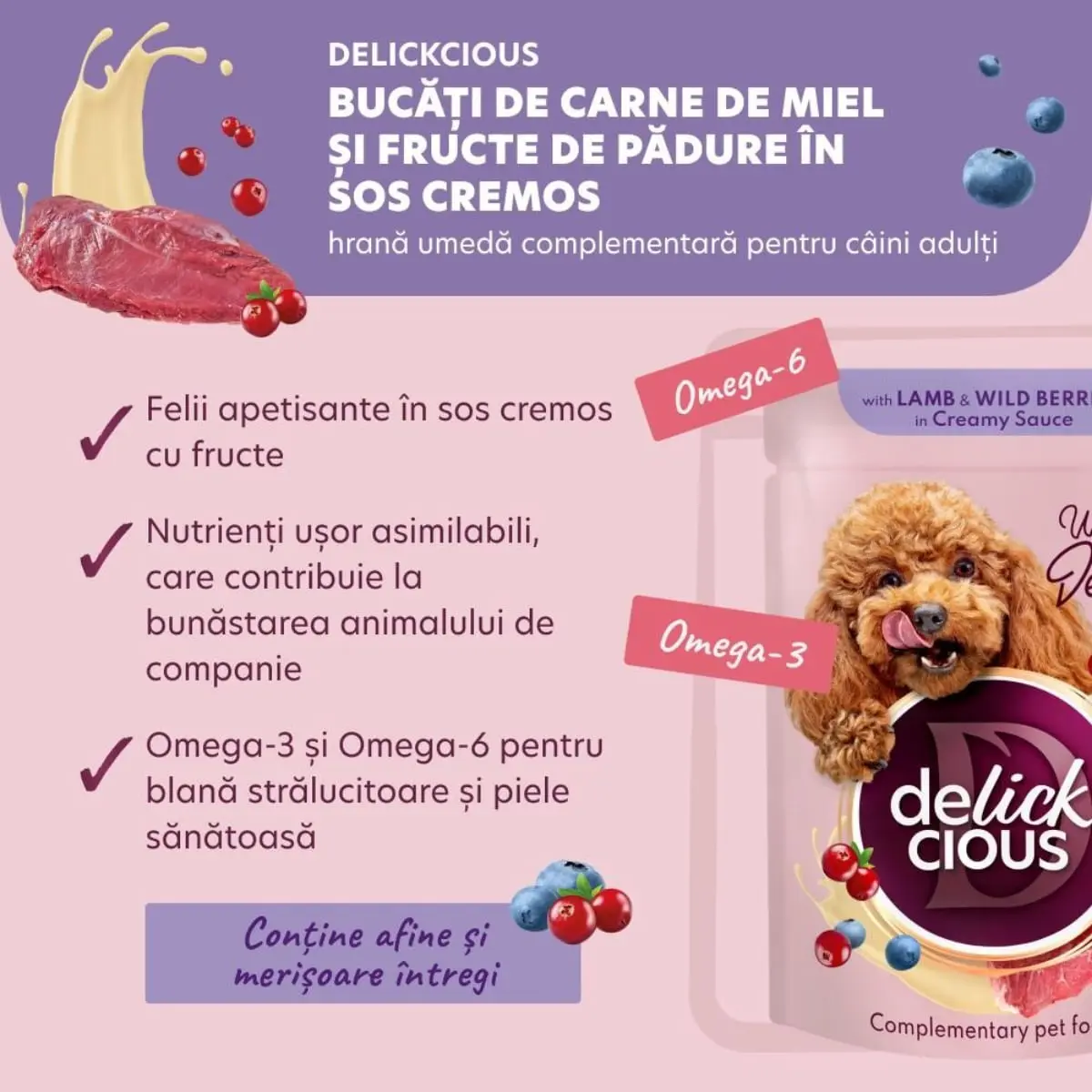 DELICKCIOUS Dessert, XS-S, Miel si Fructe de Padure, plic hrana umeda caini, (in sos), bax, 80g x 12buc - Image 4