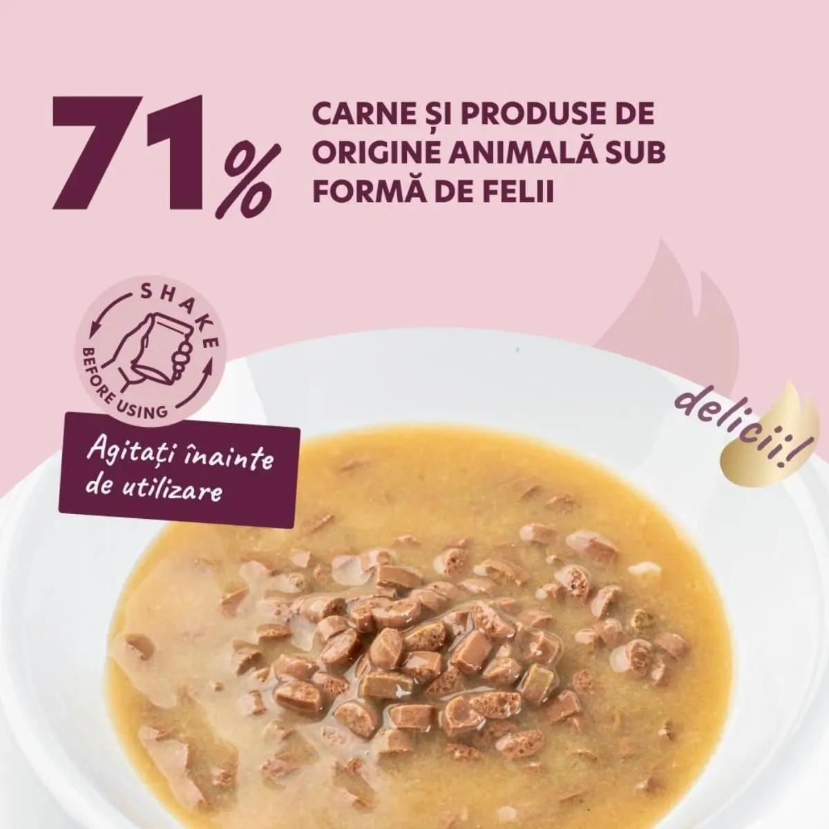 DELICKCIOUS Dessert, XS-S, Curcan si Fructe Tropicale, plic hrana umeda caini, (in sos), 80g - Image 4