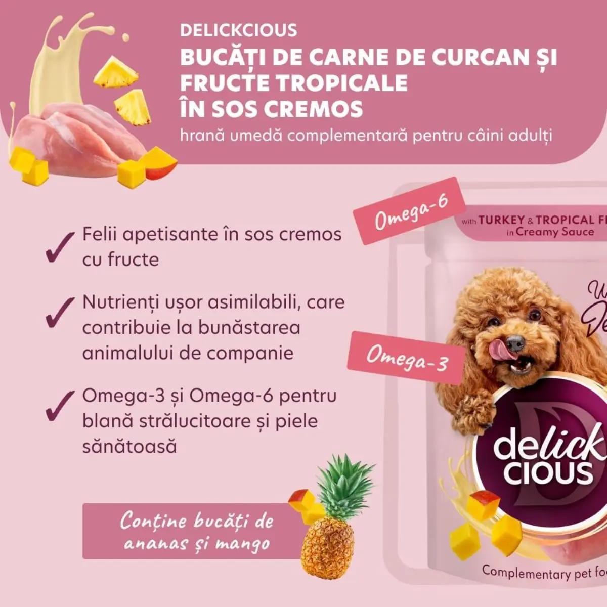 DELICKCIOUS Dessert, XS-S, Curcan si Fructe Tropicale, plic hrana umeda caini, (in sos), 80g - Image 5