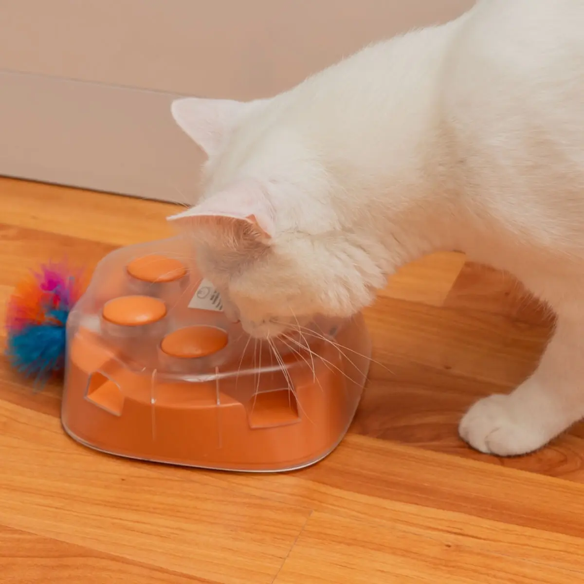 SHAW Labuta cu Pana Retractabila & Incarcare USB, jucarie interactiva pisici, inteligente, cu sunet, plastic, maro, 1buc - Image 4