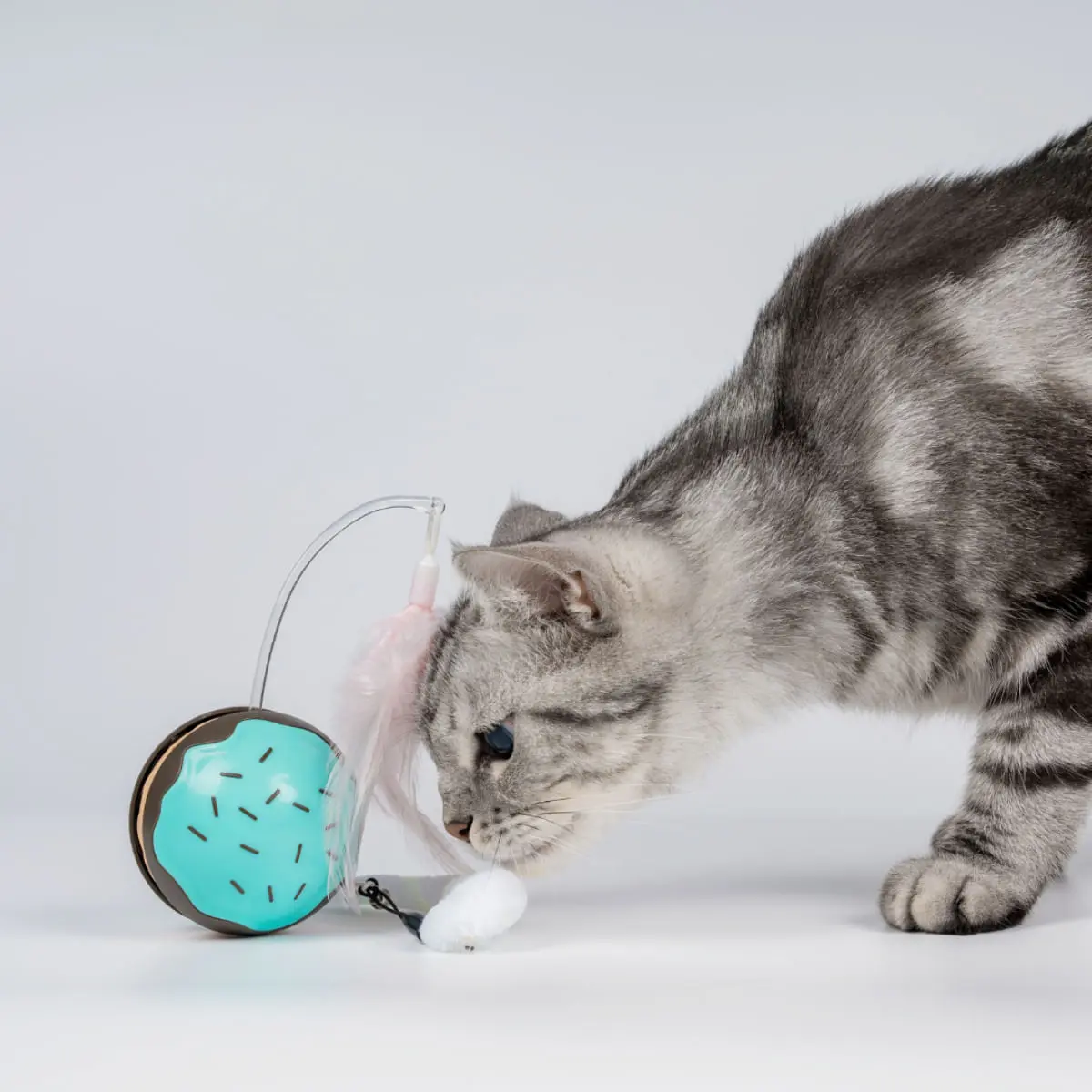 SHAW Minge Automata LED & Miscare 360° cu incarcare USB, jucarie interactiva pisici, inteligente, luminos, plastic, albastru, 1buc - Image 4