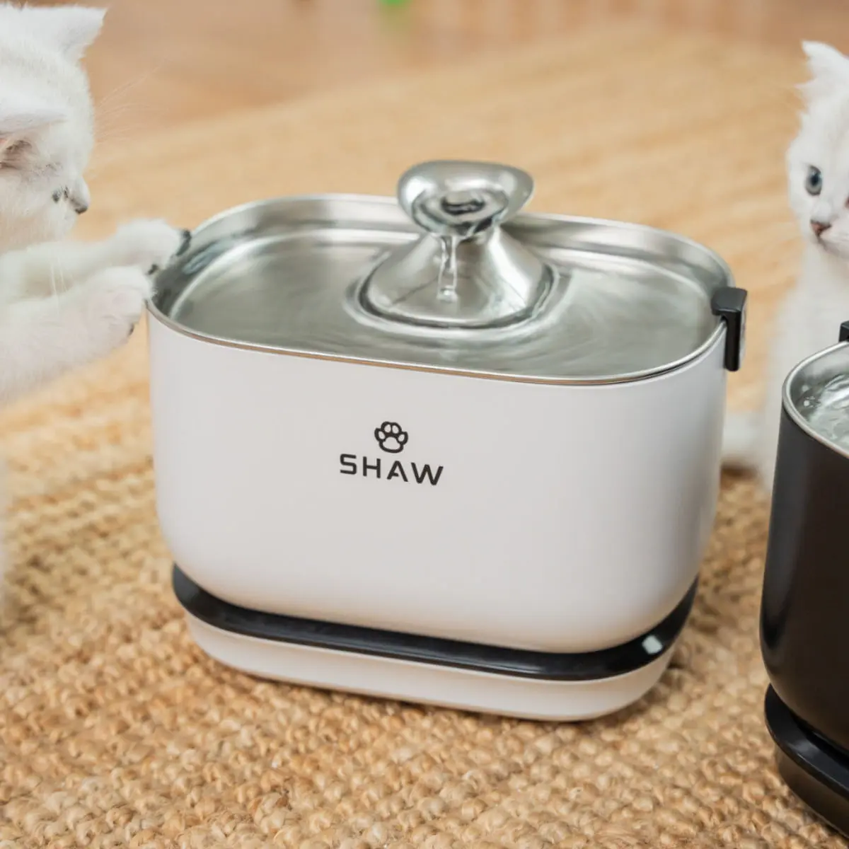 SHAW PRO V3, fantana caini, dreptunghiulara, senzor, pompa inductie, sistem filtrare, PVC SHAW PRO V3, fantana caini si pisici, dreptunghiulara, senzor, pompa inductie, sistem filtrare, PVC, alb, 2.5l - Image 5