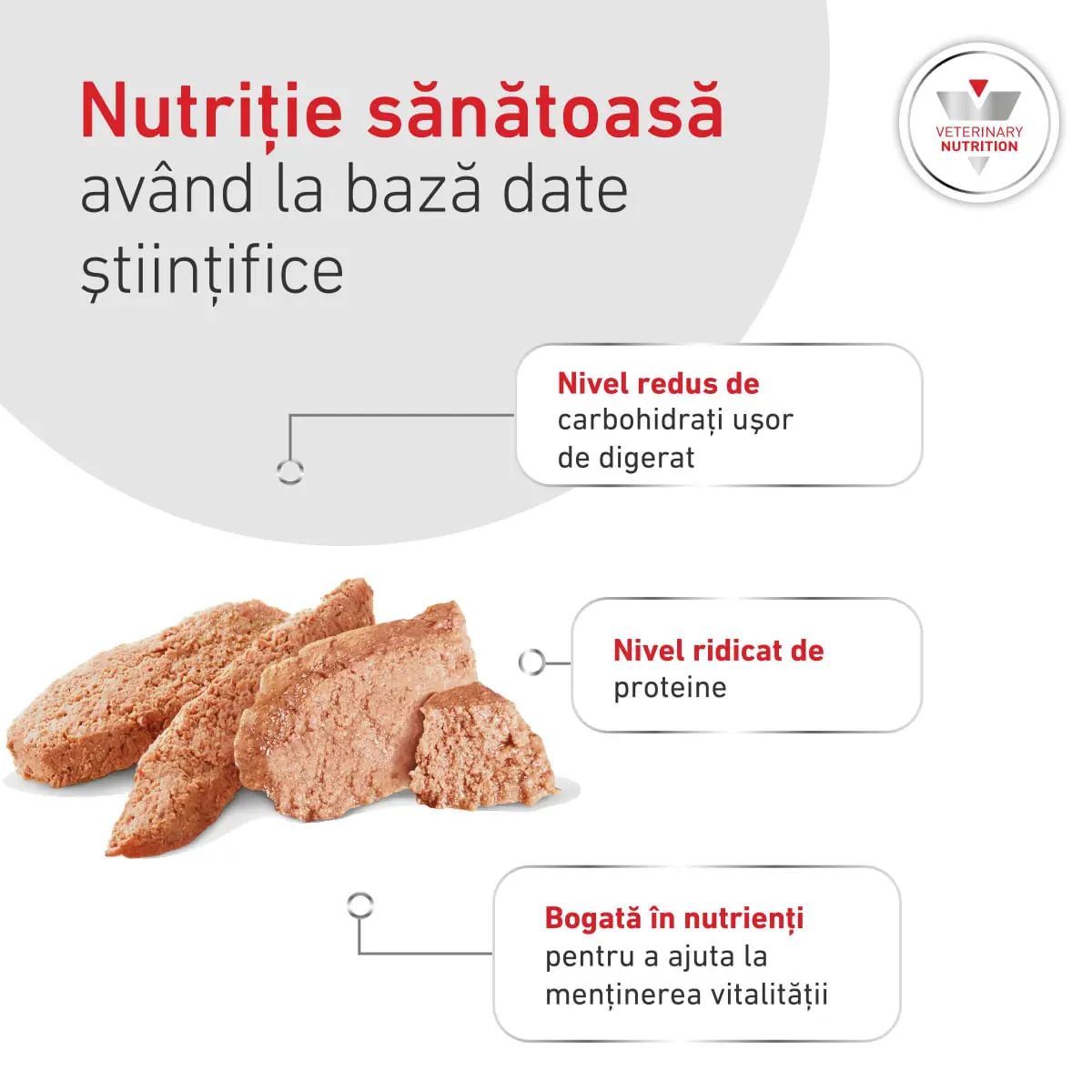 ROYAL CANIN VETERINARY DIET Glycobalance Low Carbohydrate, XS-XL, dieta veterinara, conserva hrana umeda caini, diabet, (pate), 410g - Image 8