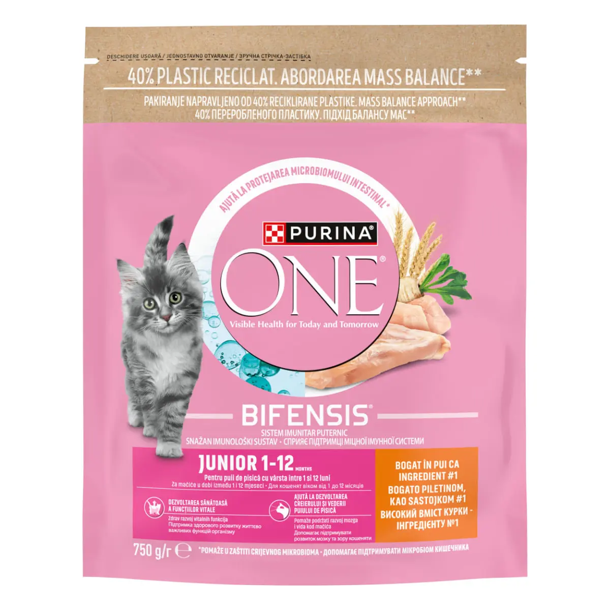 PURINA One Junior, Pui, hrana uscata pisici junior, 750g