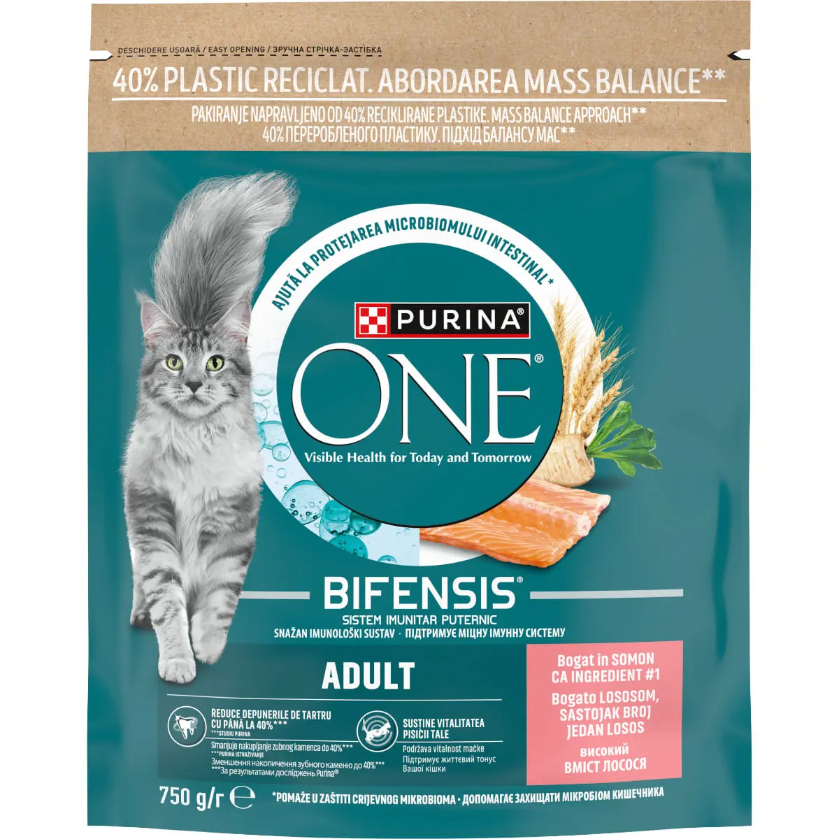 PURINA One Adult, Somon, hrana uscata pisici, 750g - Image 2