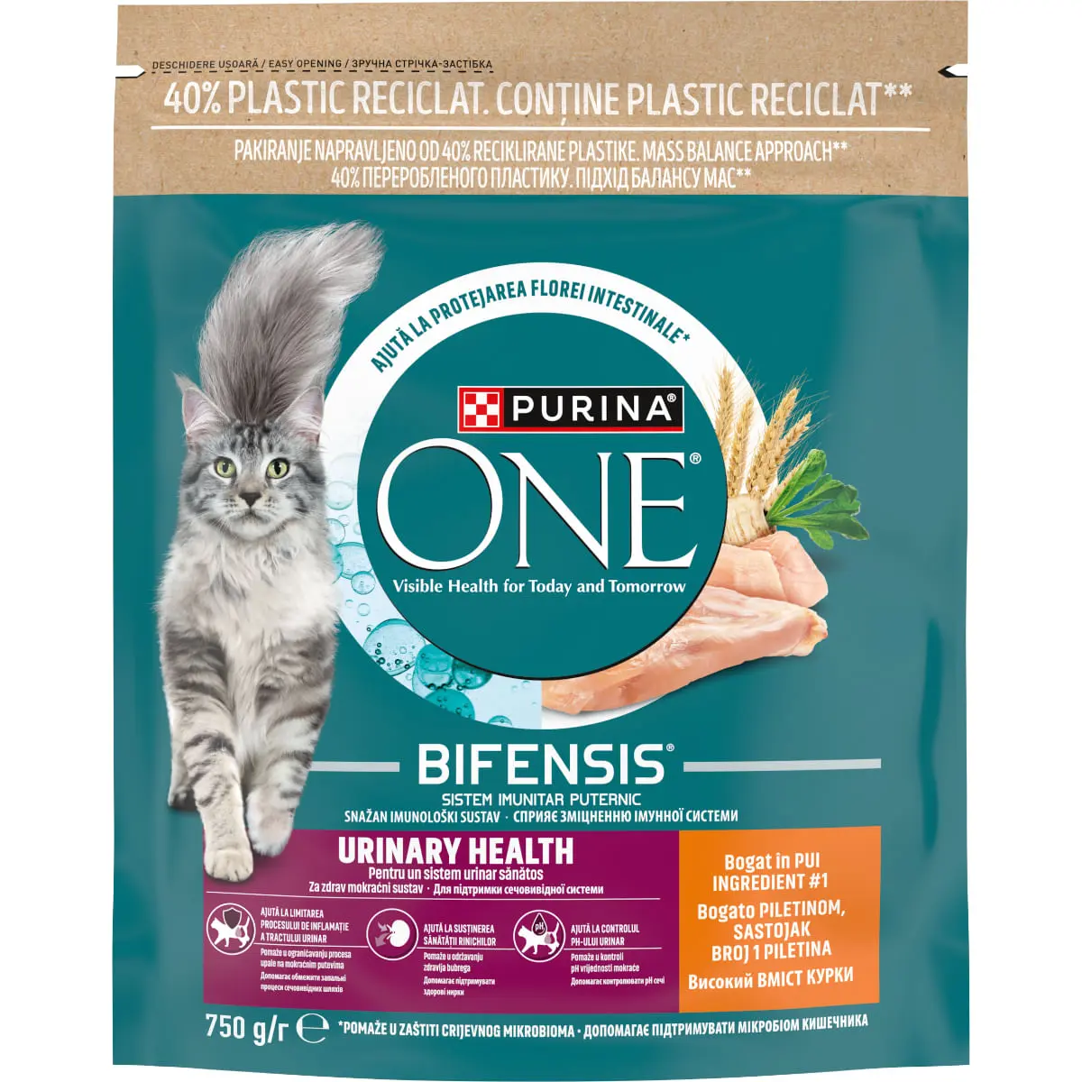 PURINA One Urinary Health, Pui, hrana uscata pisici, sistem urinar, 750g - Image 2