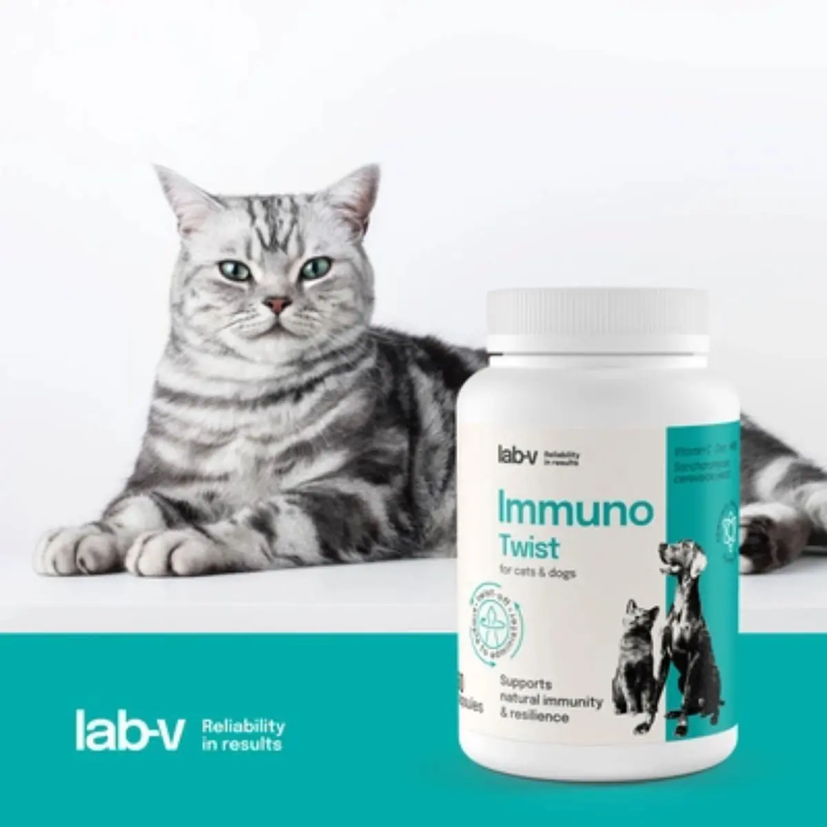 LAB-V Immuno Twist, XS-XL, supliment sistem imunitar caini si pisici, flacon, 60 capsule - Image 4