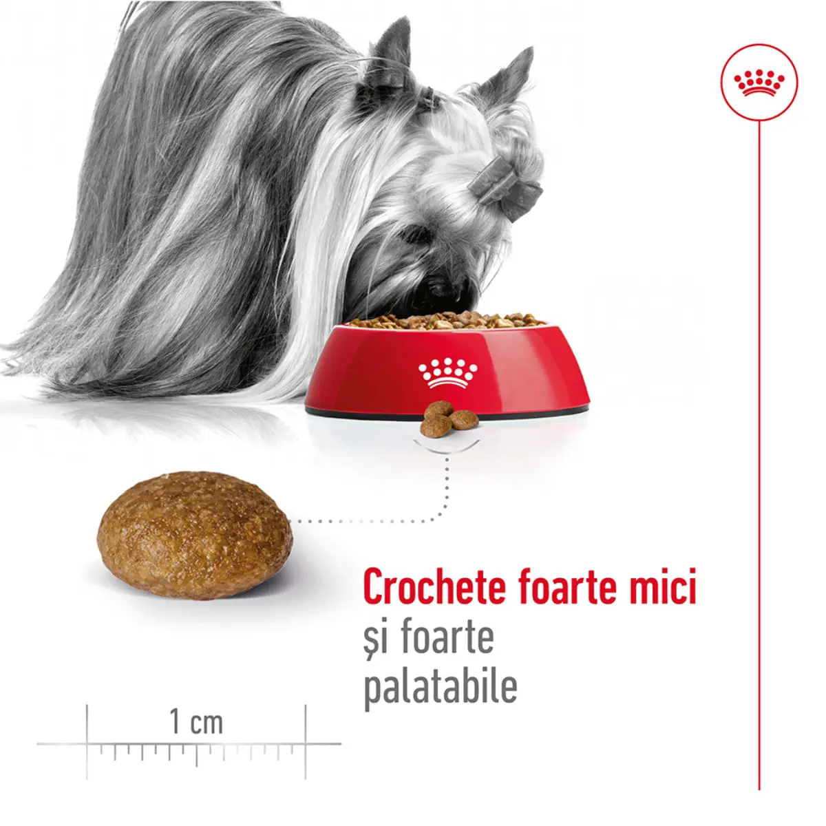 ROYAL CANIN X-Small Adult 8+, hrana uscata caini senior, 1.5kg - Image 6
