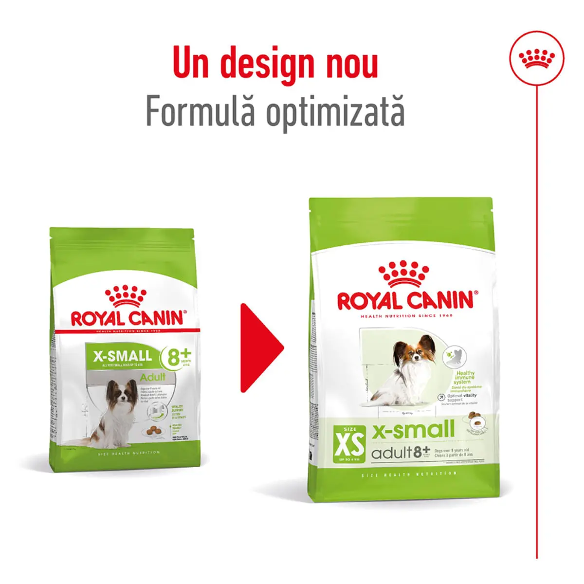 ROYAL CANIN X-Small Adult 8+, hrana uscata caini senior, 1.5kg - Image 11