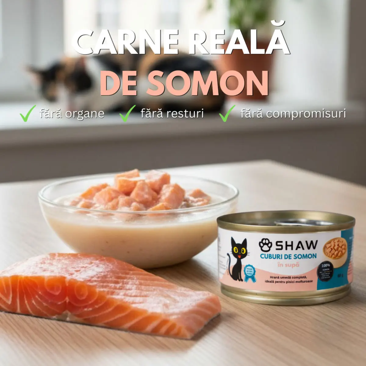 SHAW Cuburi, Somon, conserva hrana umeda fara cereale pisici, apetit capricios, (in supa), 80g - Image 5