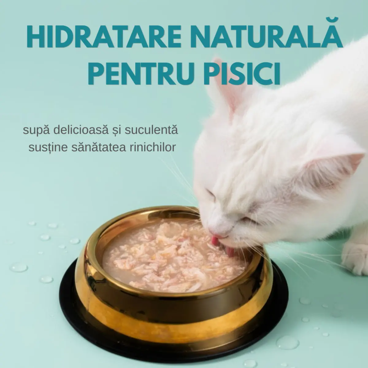 SHAW Piept, Pui, conserva hrana umeda fara cereale pisici, apetit capricios, (in supa), bax, 80g x 12buc - Image 6
