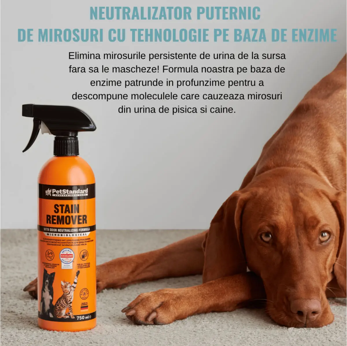 SHAW PetStandard solutie profesionala enzimatica pentru eliminarea petelor cu neutralizare mirosuri caini si pisici, 750ml - Image 4